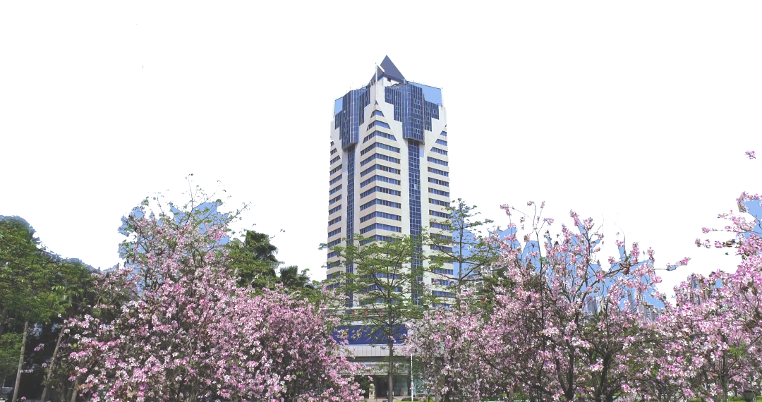 華錫有色2024年&ldquo;錫望英才&rdquo;春季招聘全面啟動